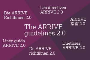 6 different languages of guidelines