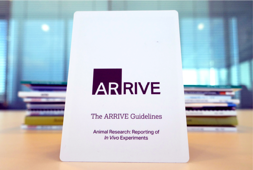 arrive guidelines