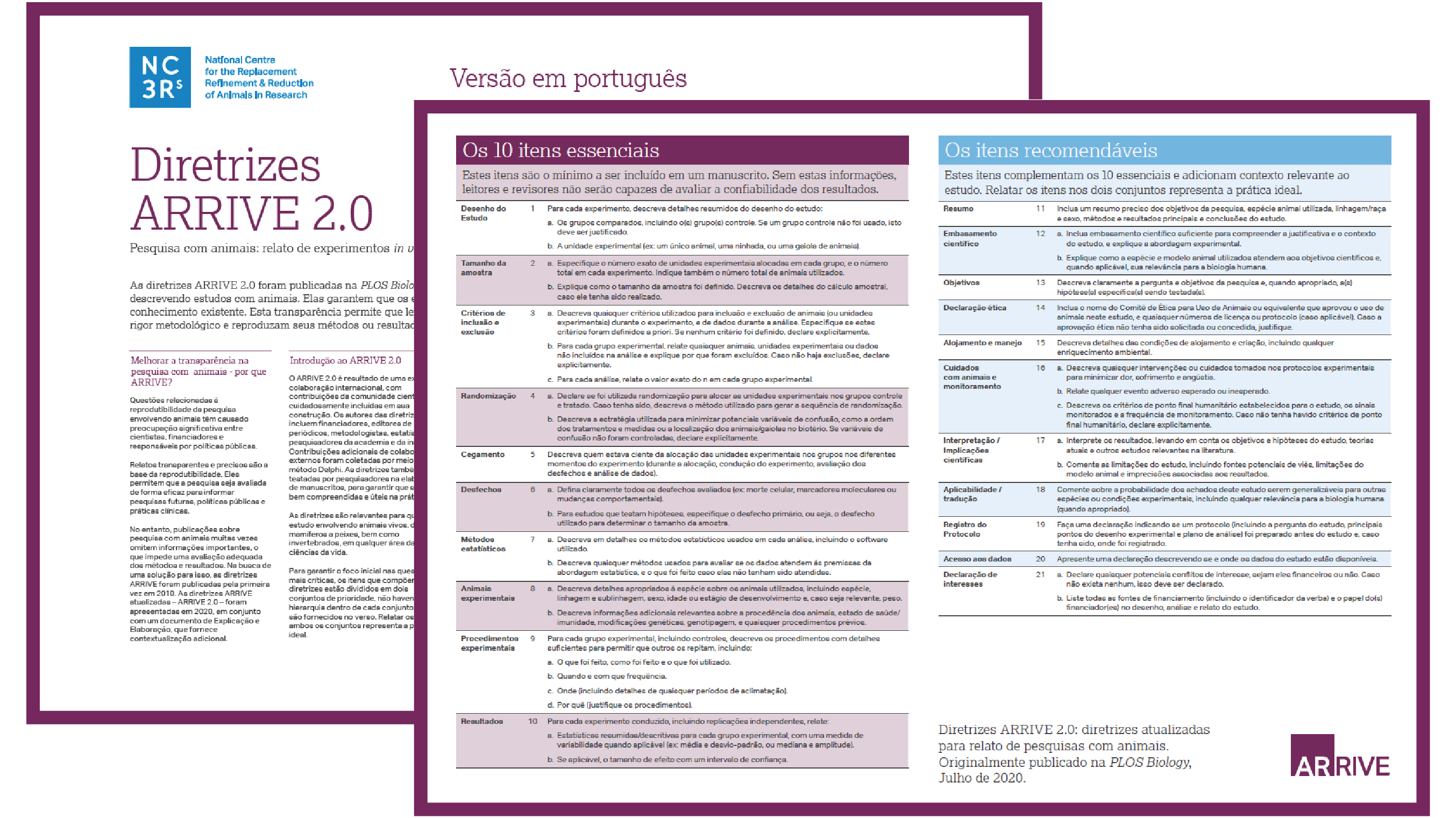 Portugese Guidelines