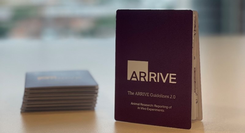 ARRIVE 2.0 z-card