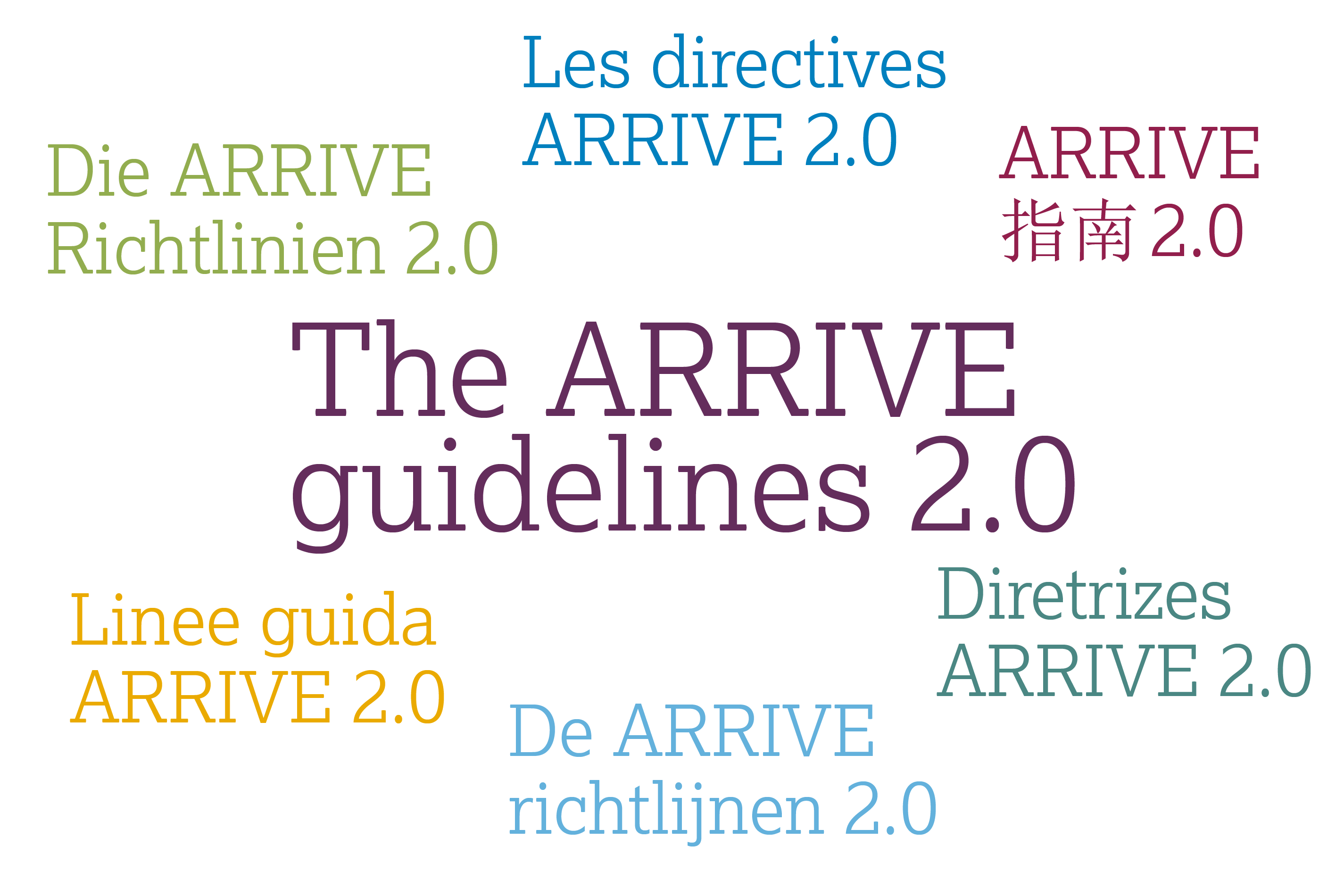 ARRIVE translated into different languages