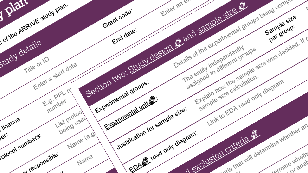 An image of the ARRIVE study plan