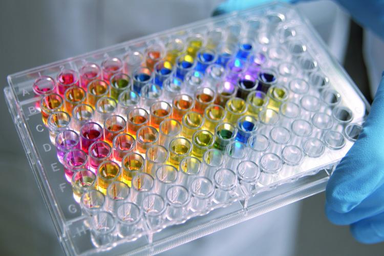 Colourful test tubes