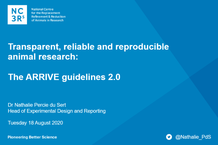 the title slide of a webinar discussing the ARRIVE guidelines
