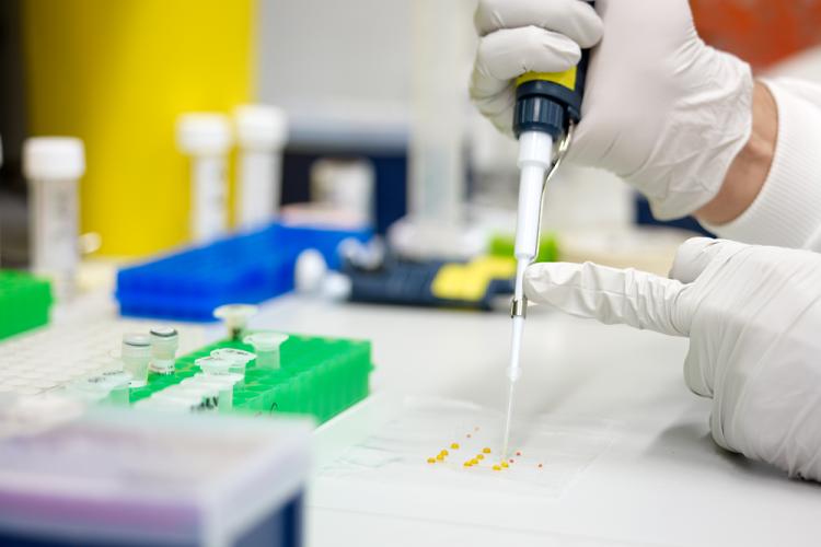 Image of a scientist using a pipette