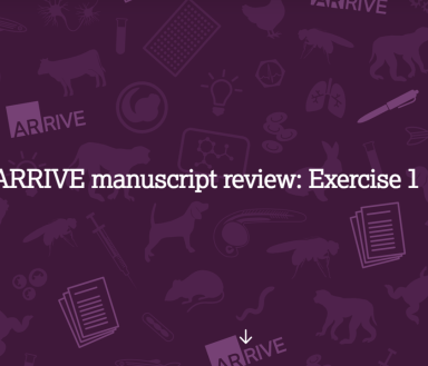 Screengrab of the ARRIVE manuscript review exercise