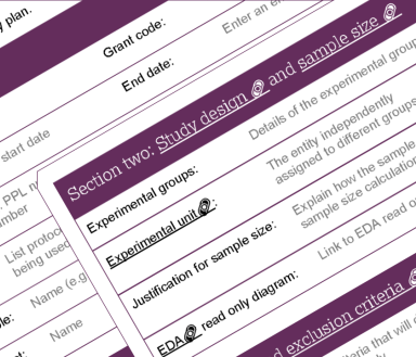 Screenshot of a section of the ARRIVE study plan